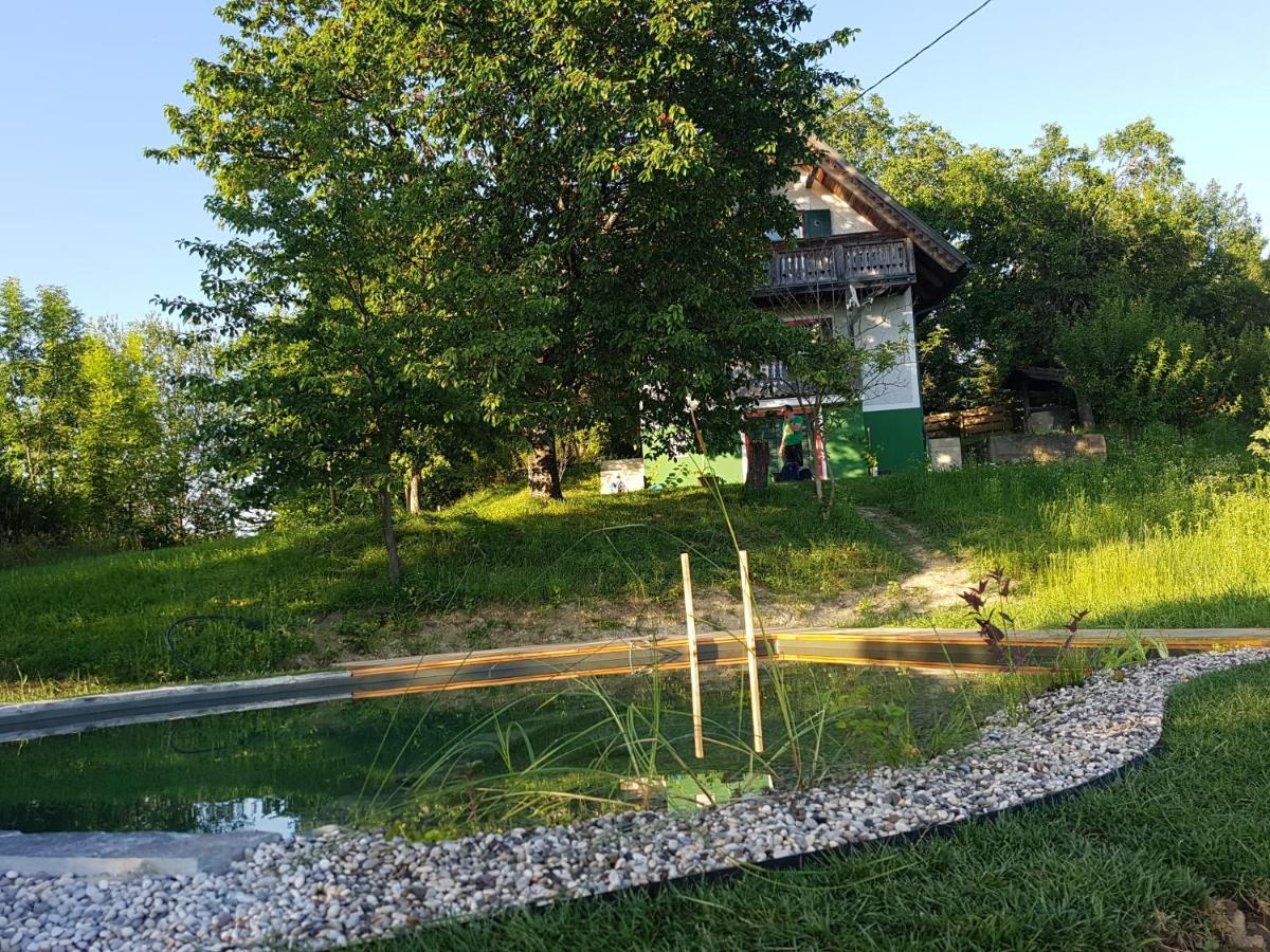 Holiday Home Sonnenhaus Svečina エクステリア 写真